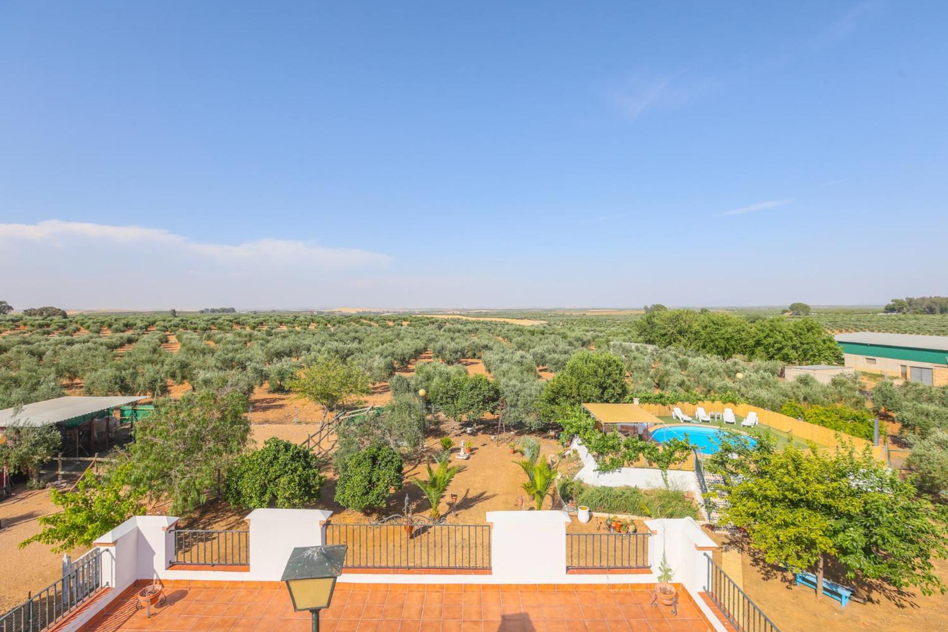 Casa Rural Los Miradores Marchena  Exterior foto