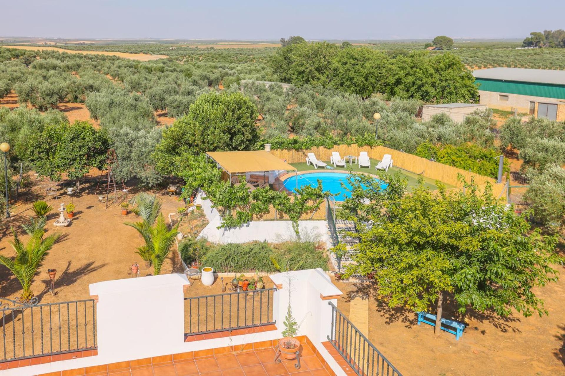 Casa Rural Los Miradores Marchena  Exterior foto